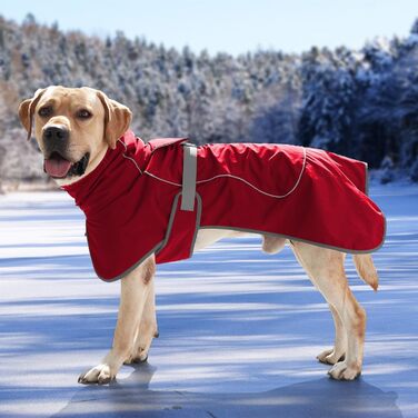 Водонепроникна куртка для собак Heywean з флісовою підкладкою, червона (L)