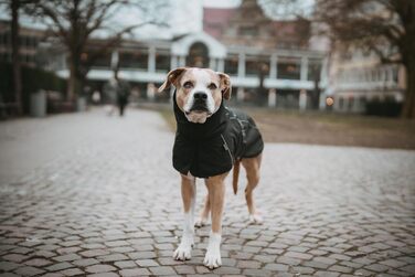 Теплий водонепроникний теплий зимовий одяг для собак HUNTER NORDBY, чорний, розмір 80