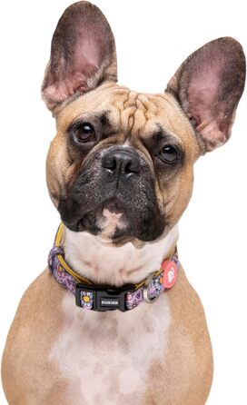 Нашийник для собак DUKIER, регульований, з неопрену, міцний, розмір M (FLOWER POWER)