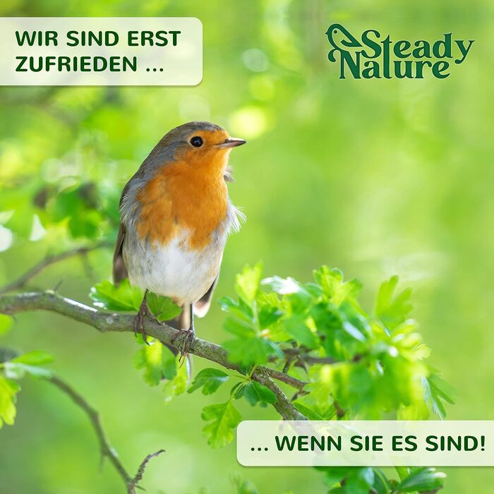 Дерев'яний будиночок для синиць Steady Nature, підвісний, для блакитної та великої синиці, згідно стандарту NABU, гніздівля для птахів