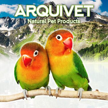 Будиночок для птахів Arquivet Sassari 100x60x176,5 см дерев'яний