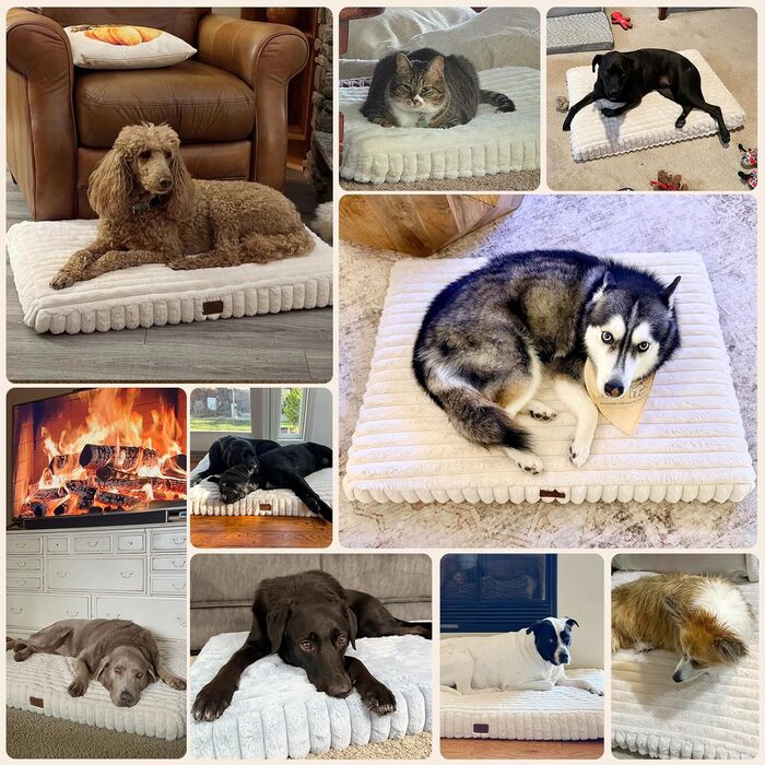 Ортопедичне ліжко для собак середніх порід, водонепроникне, з антиковзним дном, з піною типу 