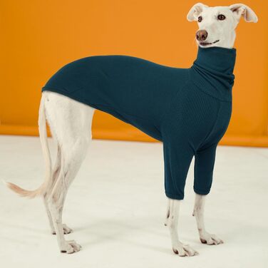 Теплий плед-пуловер для віндхунда (Greyhound) та породистих собак, зимова куртка, блакитний, XXL