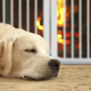 Захисне ворота Relaxdays для собак, 92x154 см, 3 елементи, білий, розкладне