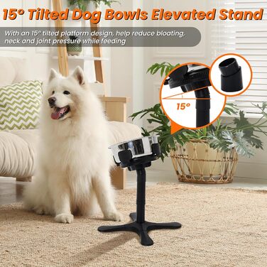 Підвищена годівниця для собак на регульованому підставці, 3 рівня та кут нахилу, сумісна з різними мисками, годівниця для собак із нержавіючої сталі для середніх та великих собак