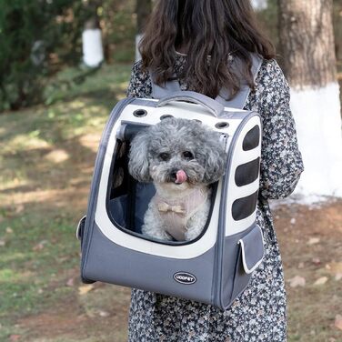 Рюкзак для котів та собак, великий, на 2 тварин, для подорожей, схвалений авіакомпаніями