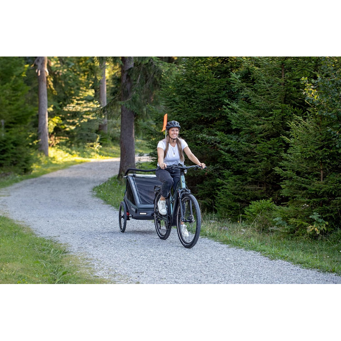 Qeridoo Kidgoo 2 Steel Grey: Причіп для велосипеда 2 дітей з амортизацією та системою ARS | Дитяча коляска-причіп | Складаний дитячий причіп-візок | Qeridoo