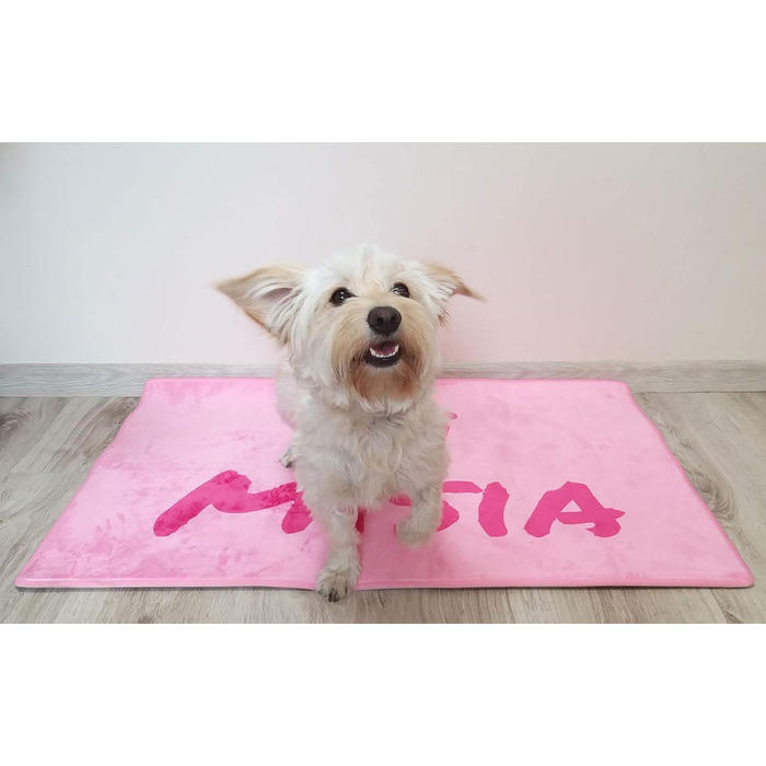 Килимок для собак на замовлення з фоновим малюнком, кісточками, лапами, текстом та шрифтом