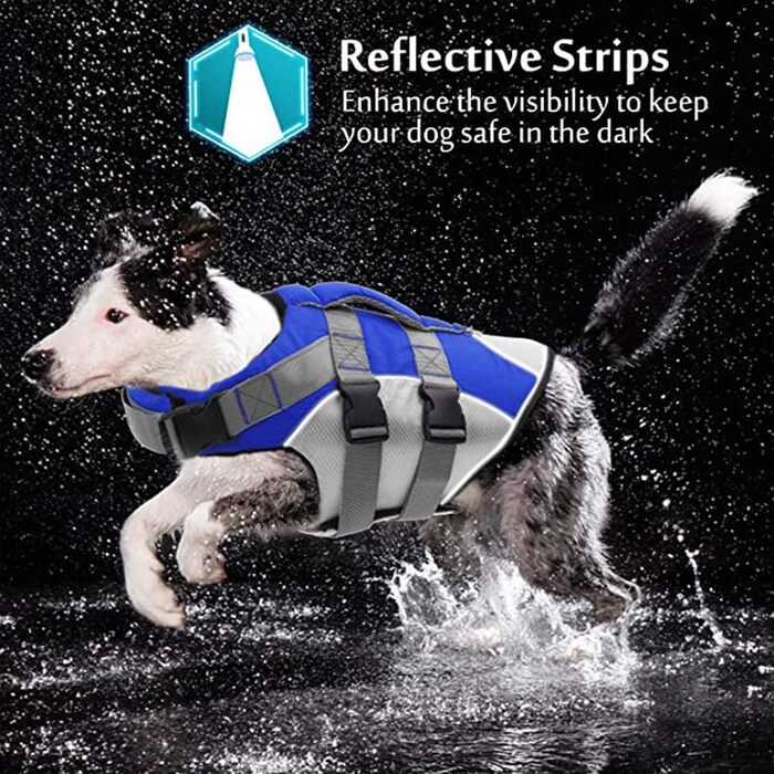 Жилет рятувальний для собак, блакитний XL. Жилет для плавання з рятувальним ручним захопленням, з регульованим кріпленням.