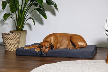 Ортопедичне ліжко для собак Beeztees Zira, сірий, 120x80x10 см