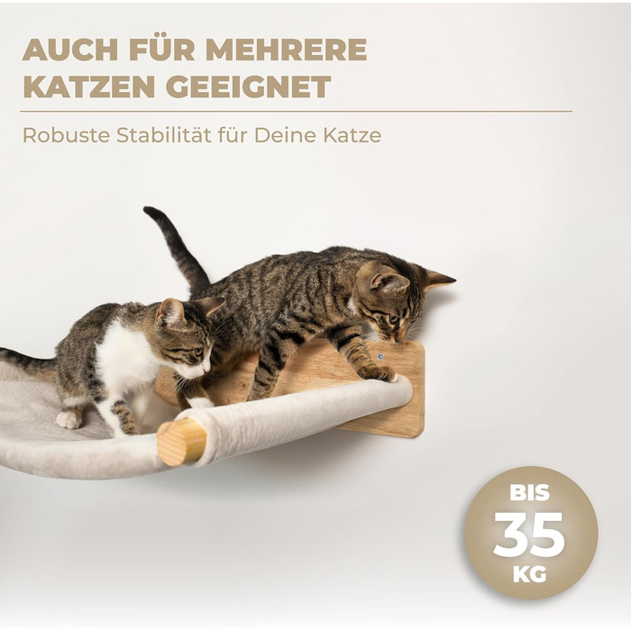 WOOWOOD® Стіна для котів із масиву дерева з 2 сходами, гамаком і когтеточкою – настінний комплекс для котів, меблі для лазіння, кріплення на стіну