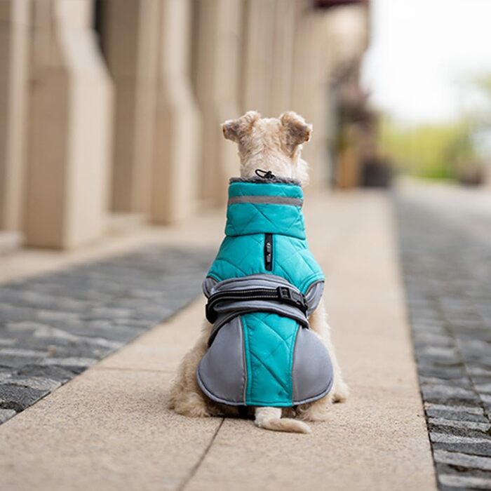 Тепла водонепроникна жилетка для собак з коміром, м'яка та зручна, зелена, розмір M