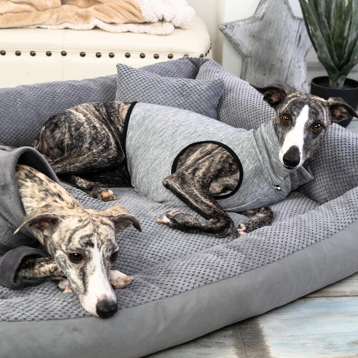 М'яке ліжко для собак Teo 80x60 см, знімний чохол, сірого кольору