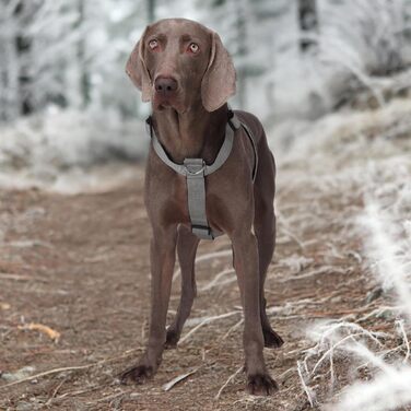 Шлейка для собак FeimaX великих порід, тактична, не тягне, дихаюча, комфортна (XL, сіра)