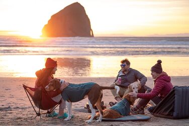 Ліжко для собак RUFFWEAR Mt Bachelor Pad M, темно-зелене, туристичне, складне, для кемпінгу та подорожей