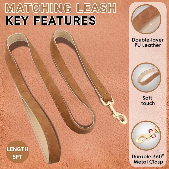 Нашийник та поводок для собак, шкіряні, персоналізовані, м'яко стьовані, міцні, з індивідуальною табличкою, регульовані (M, верблюжий, комплект M: обхват шиї 28-37 см, ширина 2 см)