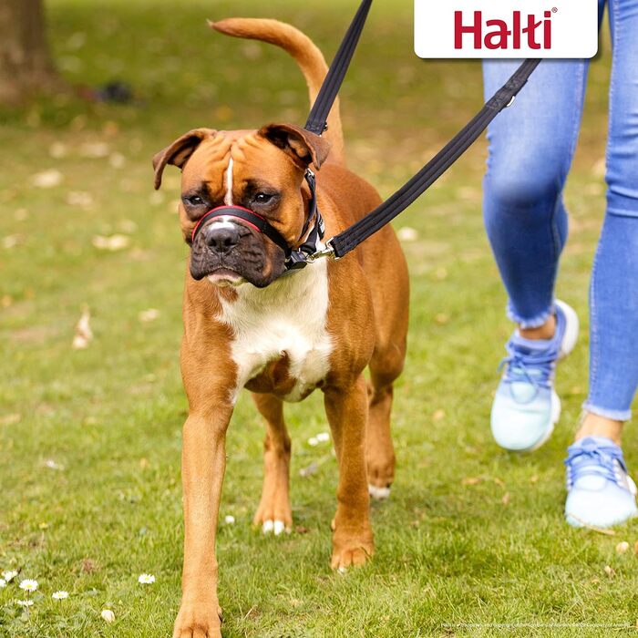 Намордник Halti Optifit і тренувальний повідок-комплект, стоп тяганню, великий розмір, чорний