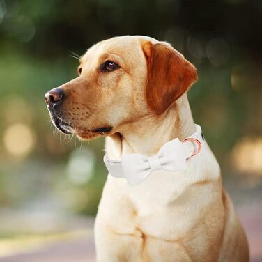 Яскравий різдвяний нашийник для собак Aring Pet, бавовняний нашийник з бантом, милий дизайн, подарунок з металевою застібкою для великих собак (S, білий)