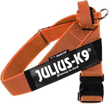 Шлейка Julius-K9 Color & Gray для собак, нейлонова