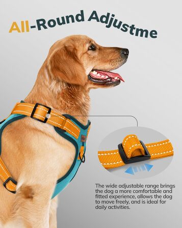 Собачий шлея MIDOG XL, не тягне, відбивні ремені, дихаюча сітка, регульована, синя