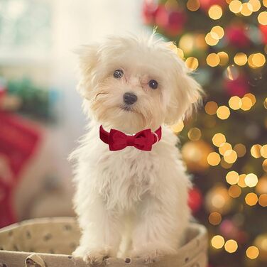 Нашийник для собак Aring з бантиком, регульований, м'який, темно-зелений (M), червоний (для свят)