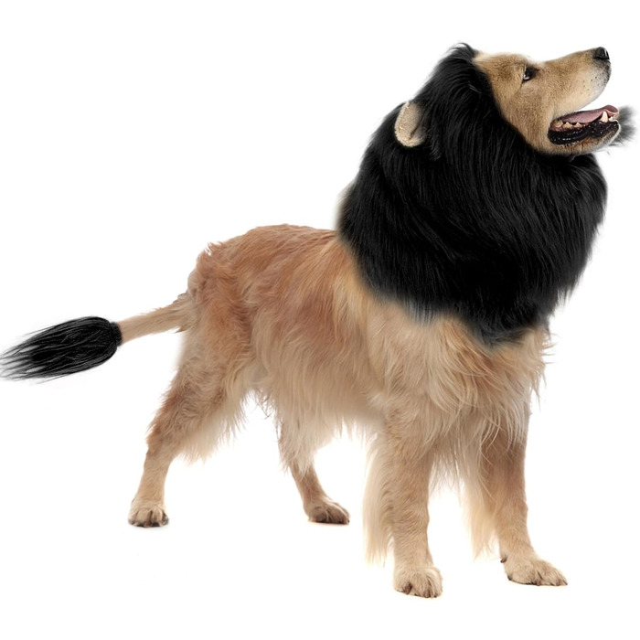 Костюм для собаки 