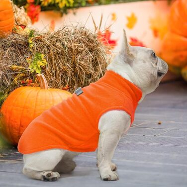 Світшот для собак BEAUTYZOO з капюшоном, з кишенею та отвором для повідка, еластичний, для малих, середніх та великих собак, одяг для осені, зими, холодних днів, теплі дизайнерські куртки для собак, M/L (Спина: 46 см, Груди: 64 см, Шия: 38 см) (Помаранчев