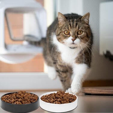 Котло propositions для котів та кошенят з кераміки, 15*4 см (чорний та білий)