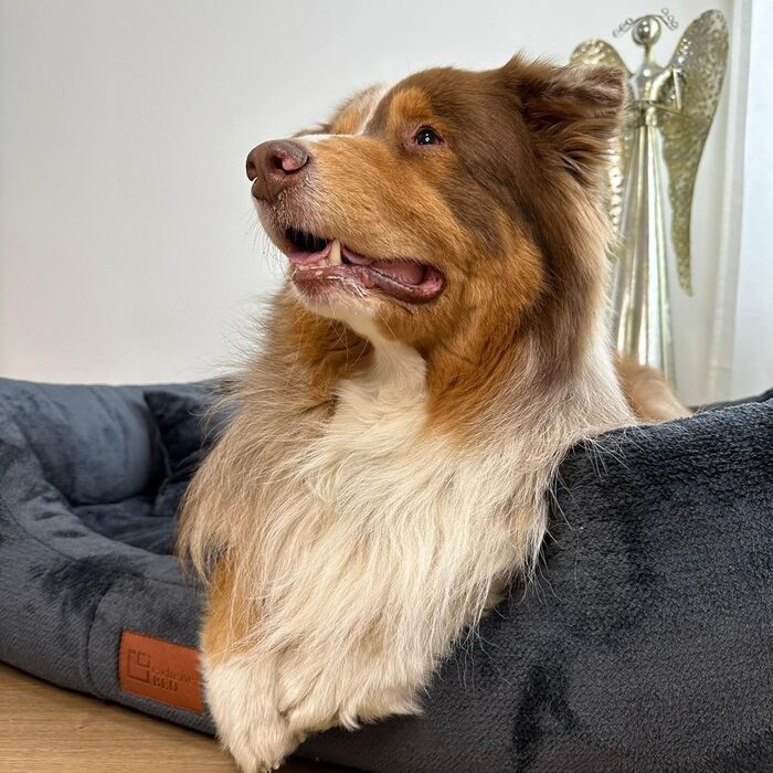 Ортопедичне ліжко для собак Candy, середнього та малого розміру - м'яке ліжко-матрац для собак з плюшу, неслизьке, м'яке, довговічне, стійке до зношування та розривів (XXXL+|160x110 см, темно-синій)