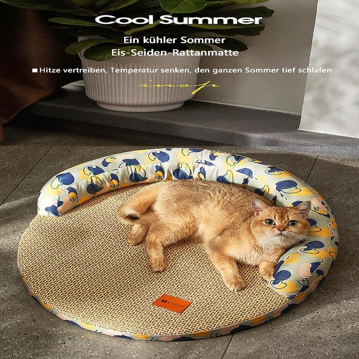 Ранкові ліжка для котів, собак та цуценят з ротангу: знімні, дихаючі та м'які