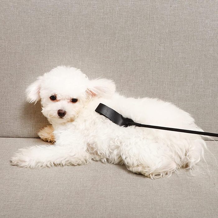 Крійська батогом FIYSON для верхової їзди, стрибків та перегонів, з PU-шкіри та справжньої шкіри, для щоденних тренувань