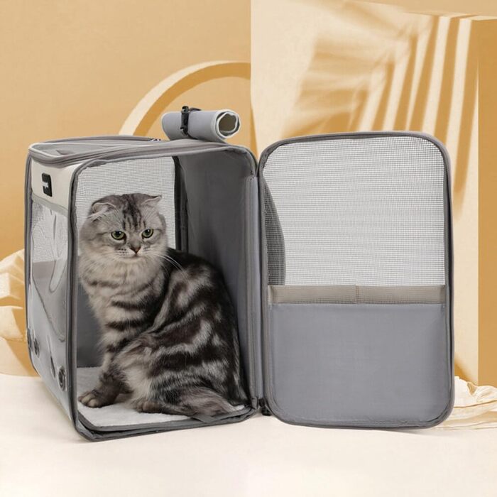 Рюкзак для тварин: переноска для собак та котів до 10 кг, жовта, дихаюча, складна, з прозорим вікном