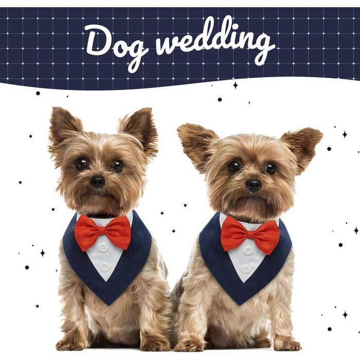 Нашийник для собак Kuoser, святковий аксесуар, великий розмір (L), блакитний