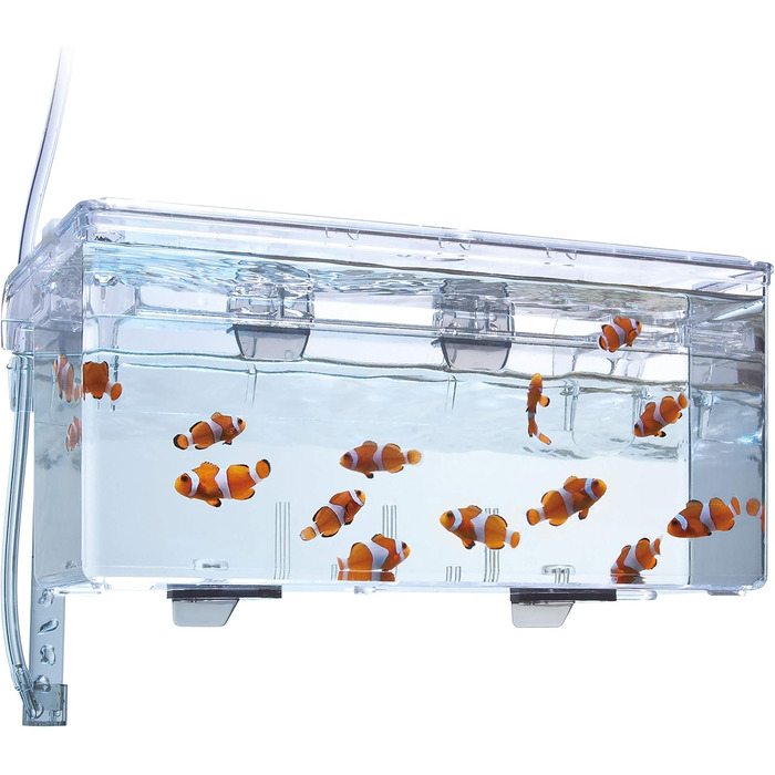 Fluval Hang-On Aufzuchtbecken M: Розведення рибок, об'єм 1.9 л, для акваріума (1 шт.)