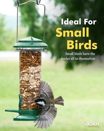 iBorn годівниця для птахів на підвіску, зелена, 2 шт. - металева, стійка до іржі, 20 см