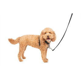 Шлея для собак PetSafe 3-в-1, регульована анти-тягова, виробник Easy Walk, для прогулянок та автомобіля