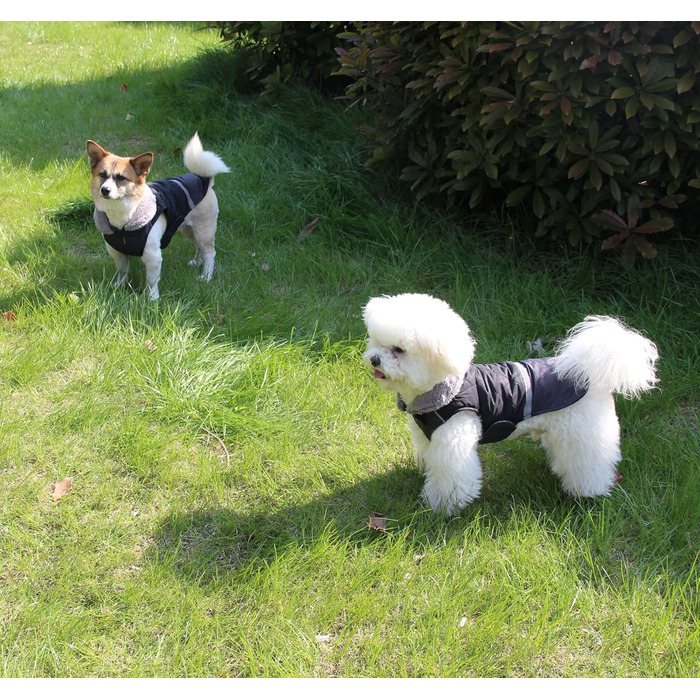 Водонепроникний теплий зимовий одяг для собак, Blu, S - JoyDaog