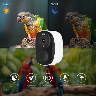 RobiCam BirdNest Vision – інтелектуальна годівничка для птахів із сонячною панеллю та Full HD камерою
