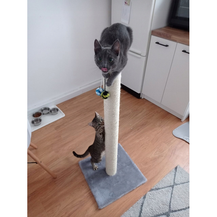 Висока дряпалка-стовп для котів Dep-Mal 61 — 100 см