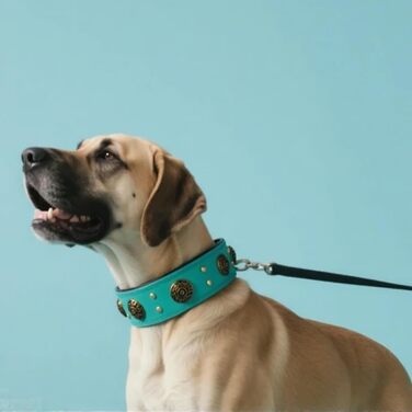 Нашийник для собак середніх порід Comfluxe з екошкіри, 5.1 см, міцний, з металевою застібкою, блакитно-зелений, з дизайном 