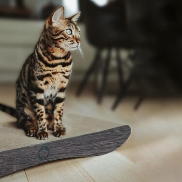 Когтеточка для котів CanadianCat Comet L XL, картон, з котячою м'ятою, 60x29x7 см, темно-сіра, дерев'яний дизайн