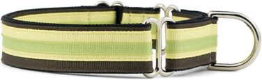 Якщо гавкає Martingale нашийник для собак, нейлоновий, регульований, 2,5 см, середній (38-56 см), Key Lime Pie, вироблено в США
