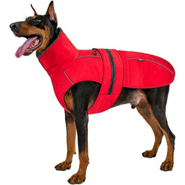 колір: гниль