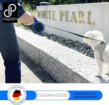 Нашийник для собак Domoprima: міцний, безпечний, з відбиваючим рефлектором, розміри S, M, кольори: сірий, блакитний, зелений, рожевий