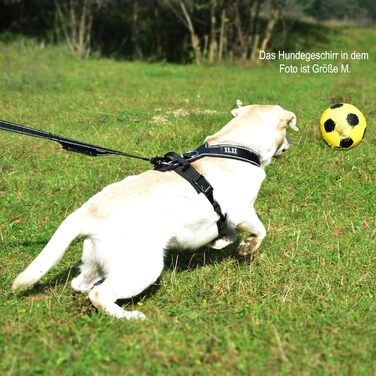 Нашийник для собак ILII - міцний, елегантний та комфортний. Унікальний дизайн для середніх та великих собак. Чорний, мінімальне покриття.