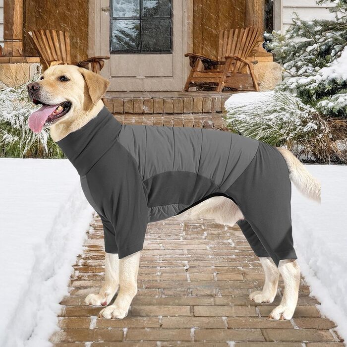 Водонепроникний зимовий одяг для собак: теплий, вітронепроникний, з високим коміром. Розміри M (сірий) та L (сірий). Підходить для малих та середніх собак. Ідеально для прогулянок, походів та кемпінгу.