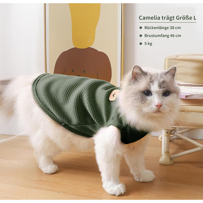 Футболка для котів сфінкс (Sphynx) трикотажна, дихаюча, зелена, XL (5.5-7.3 кг) - 3 шт.