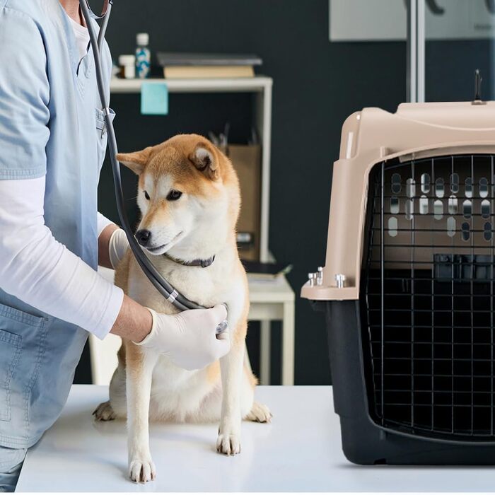 Транспортувальна переноска для тварин Petmate Vari Kennel Ultra 28, 71 x 52 x 55 см