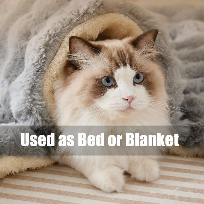 М'яка лежанка для собак з плюшу, сірого кольору, 50 x 90 см, з антиковзною основою