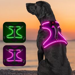 Світловий LED шлейка для собак, анти-тягнення, з ручкою, регульована, заряджається, відбиваюча, для малих, середніх і великих порід
